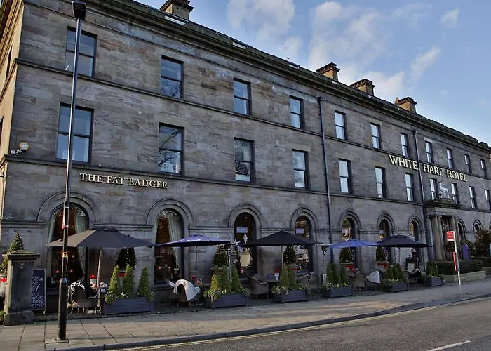 酒店 White Hart &